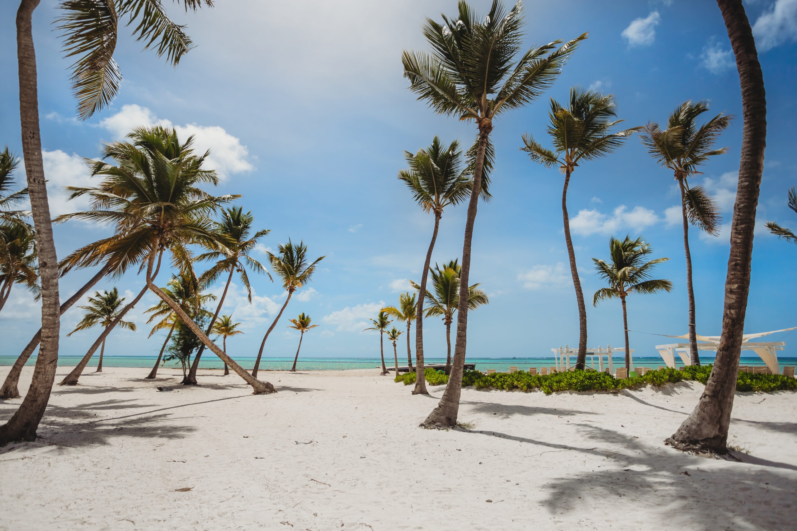 Tall palm trees casting shadows on a pristine white sand beach at Secrets Cap Cana, an outdoor photoshoot location captured by a La Romana photographer.