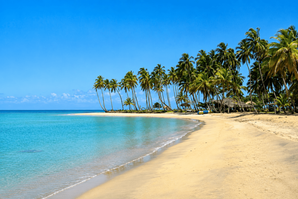 Pristine tropical beach lined with tall palm trees and turquoise water at Playa Arriba in Miches, a picturesque photoshoot location captured by a La Romana photographer.